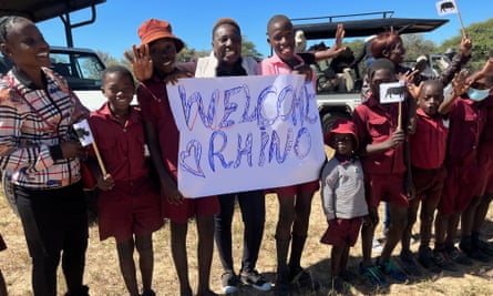In Tsholotsho, villagers and schoolchildren welcome the white rhino back.