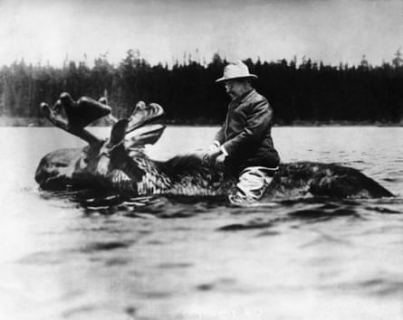 Faked black and white image of Theodore Roosevelt riding a moose