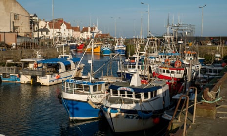 Fishing vessels moored in Pittenweem harbour in Fife.
