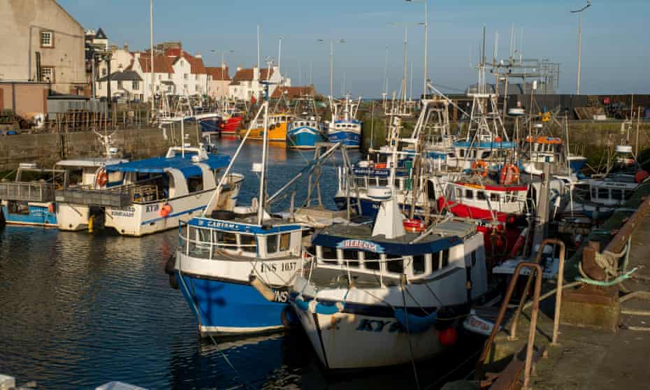 Fishing boats tied up in Pittenweem harbour, Scotland, 22 March 2020