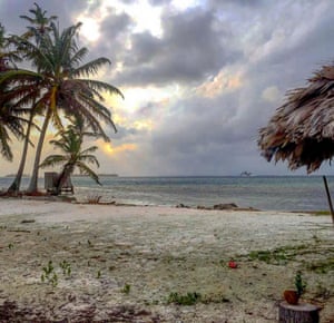 Palm trees on San Blas Islands, Panama