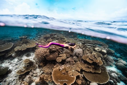 Professional mermaid Mermeow Awn lying on rocks