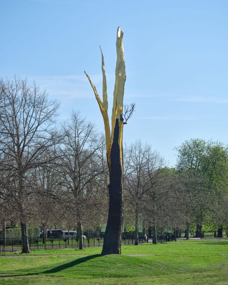 Passion for myth … Albero Folgorato (Thunderstruck Tree).