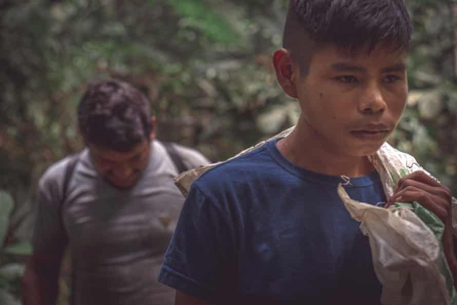 Colecionadores de castanha-do-pará