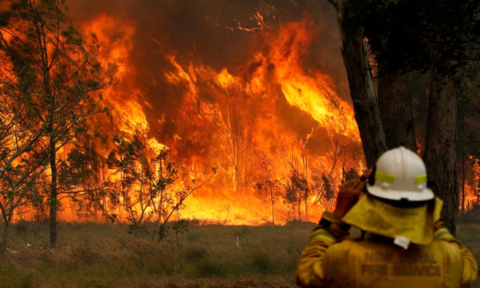 Image result for bush fire NSW Queensland 10 november 2019