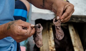 Cemetery Slums: Manila North, Philippines