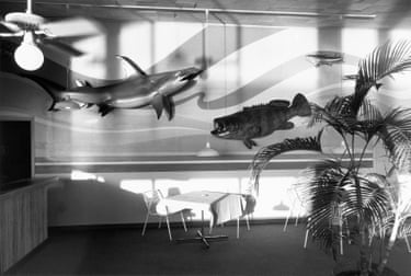 Everglades, Florida, 1987. Friedlander’s deadpan style is always revealing. Through careful framing and an astute eye for offbeat stylistic sensibilities, he makes the specific feel universal. Friedlander doesn’t editorialise. He points, and trusts we’re all in on the joke