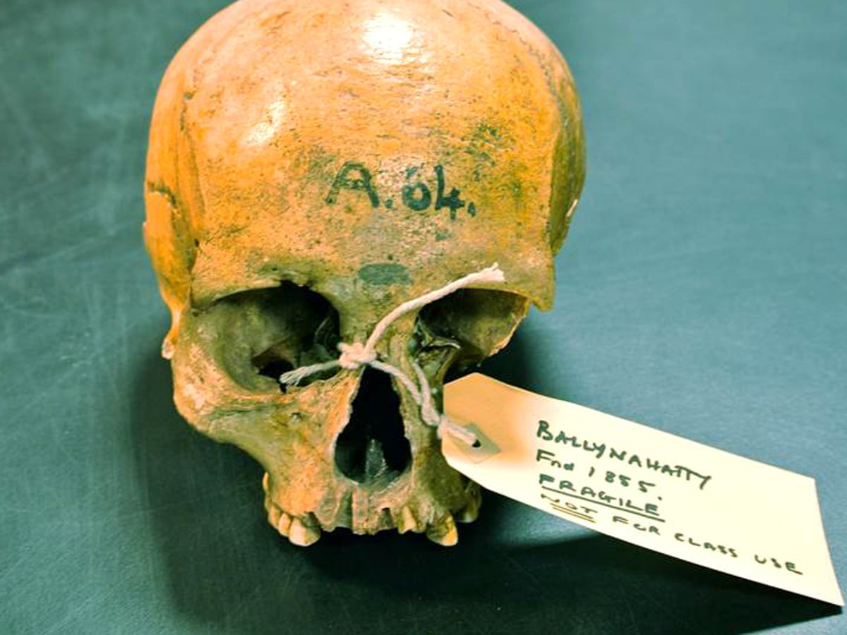 Irish DNA originated in Middle East and eastern Europe | Genetics | The Guardian