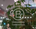 Detail view of B Corp logo 