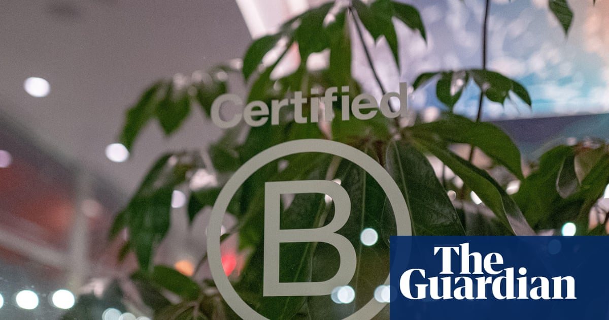 Dozens of firms risk losing B Corp status after standards overhaul