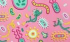 Revisited: Secrets of the gut microbiome – podcast