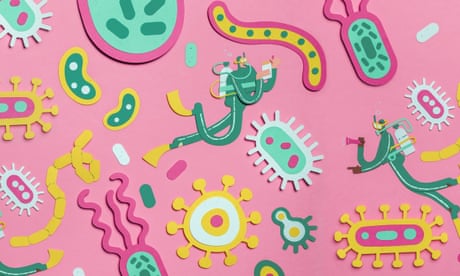 An illustration of the digestive system, with food and gut bacteria, on a pink background