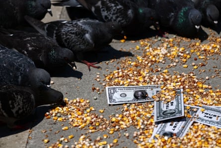 Pigeons picking corn around dollar bills with Jeff Bezos’s face on them