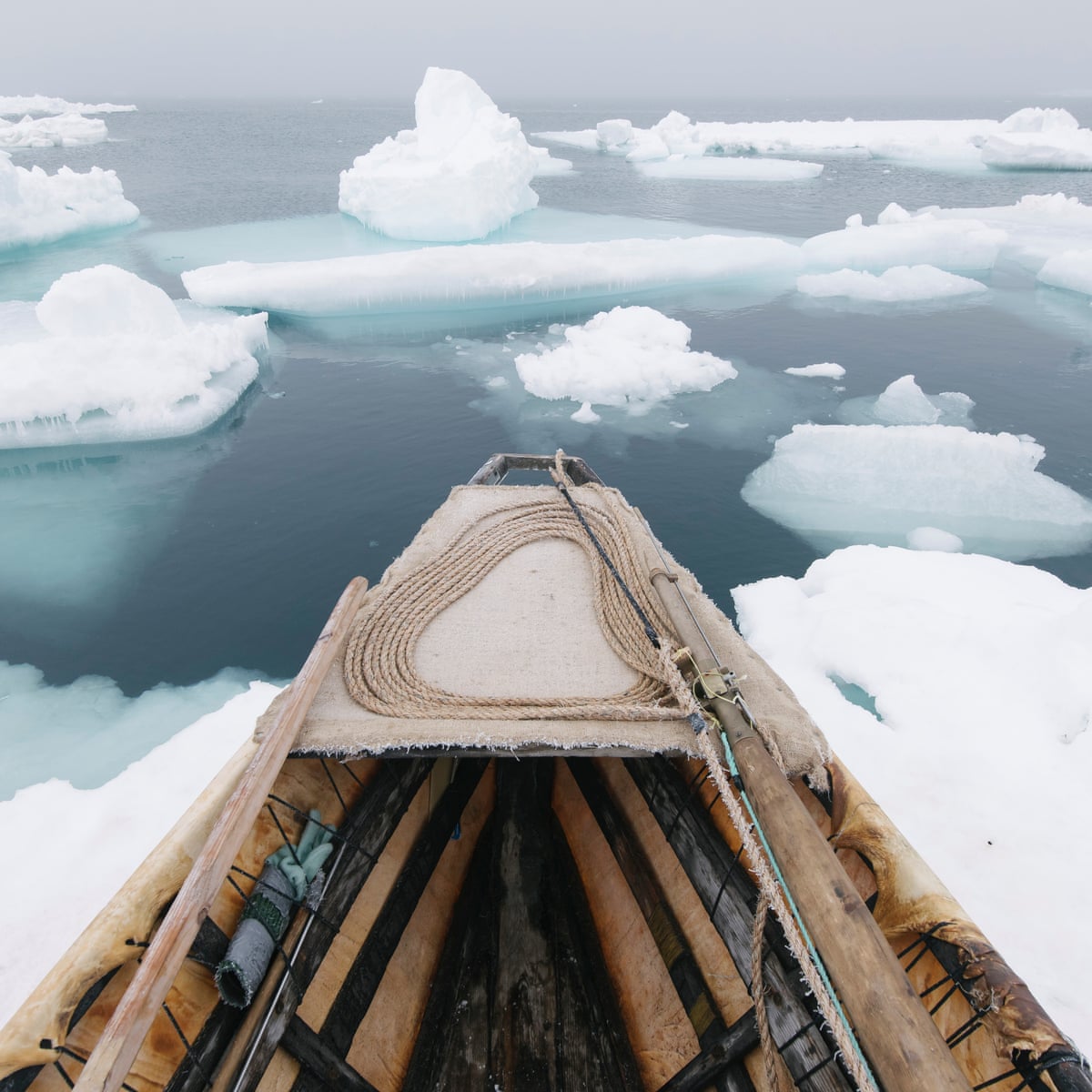 Arctic Review Stark Eco Warnings From The Ice Braving Hunters Who Battled Whales Art The Guardian