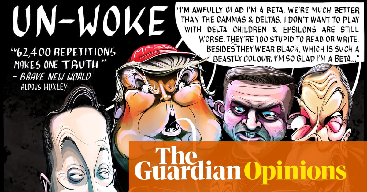 Ella Baron on social division and the spread of disinformation – cartoon