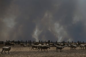 Bushfire smoke over a Kangaroo Island sheep property in January