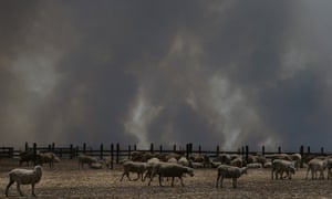 bushfire smoke is seen over a sheep property in the Parndana region on Kangaroo Island,