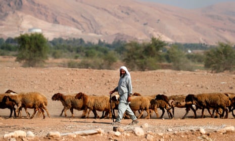 A Bedouin shepherd walks with his herd of sheep in the Jordan Valley in the Israeli-occupied West Bank on September 11, 2019