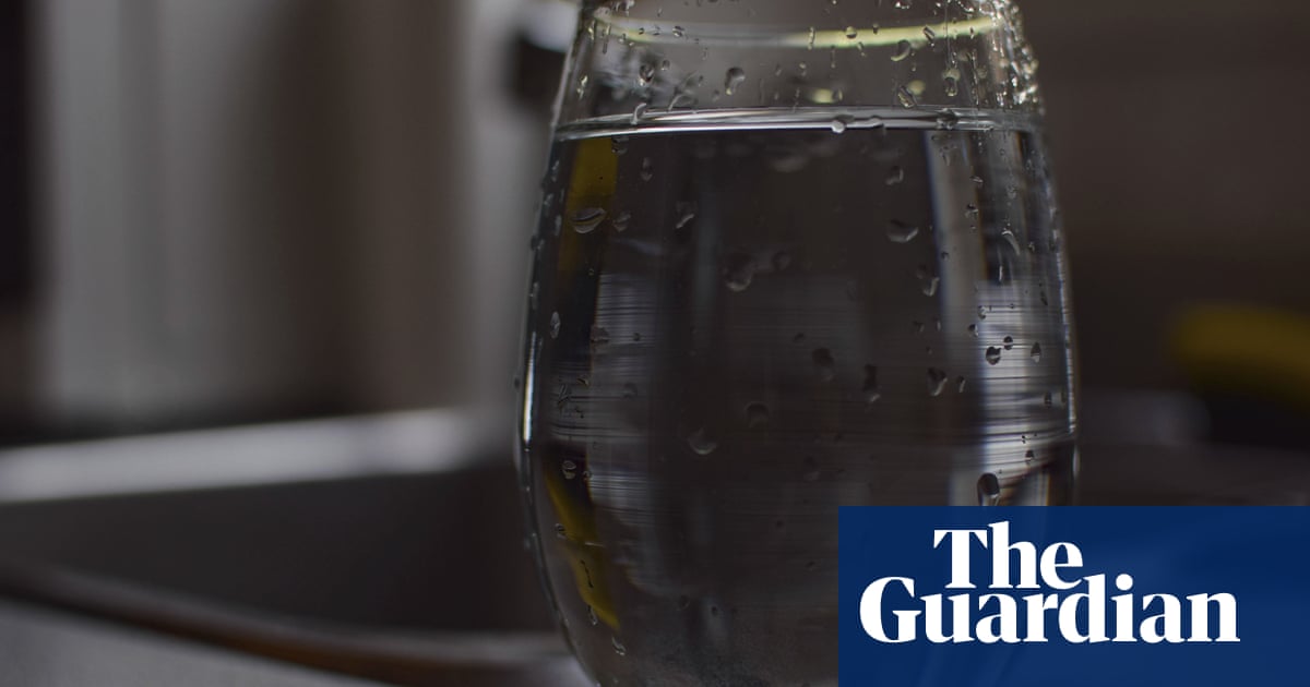 Four ways to avoid PFAS in your water - The Guardian