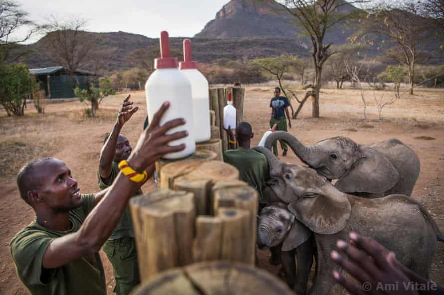Reteti Elephant Sanctuary
