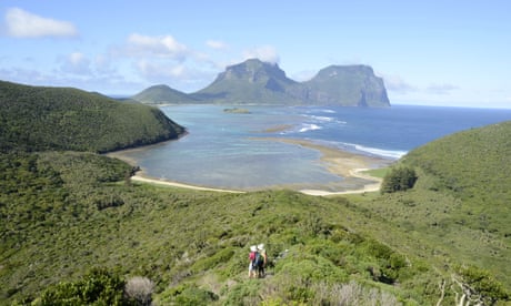 Most of Lord Howe Island closed to visitors after outbreak of plant fungus