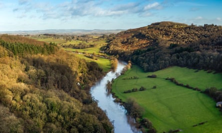 The River Wye from the Symonds Yat Rock