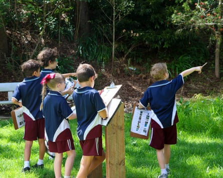 Students at Cedars Christian college in Wollongong doing the BirdLife Aussie Bird Count.