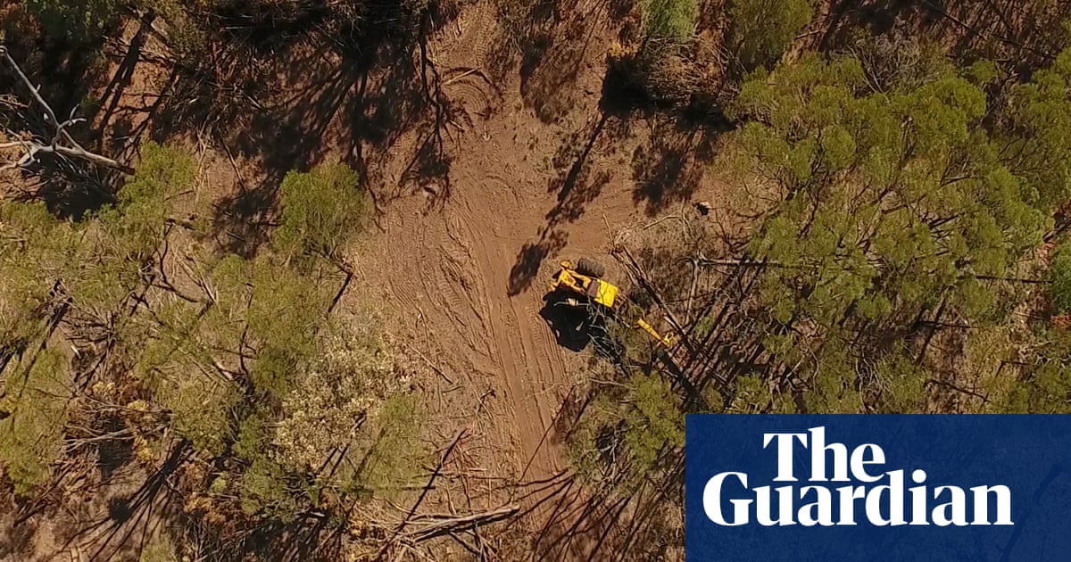 Land clearing in Australia see how cleared areas compare with your home town Environment Land clearing in Australia see how cleared areas compare with your home town Environment