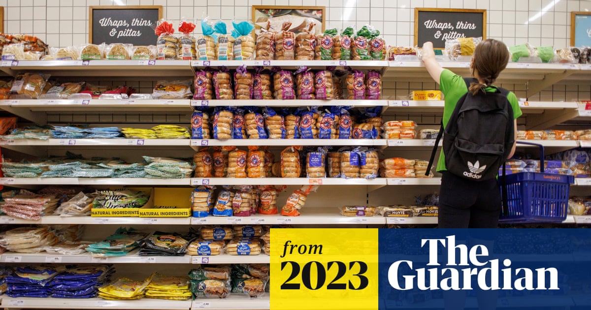 Greedflation: corporate profiteering ‘significantly’ boosted global prices, study shows