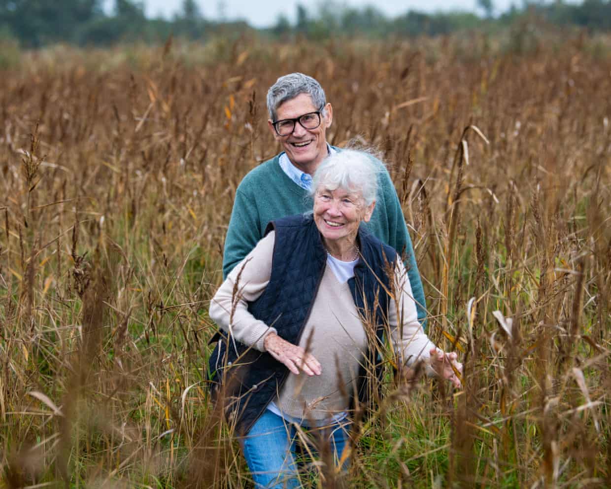 A wetland under threat