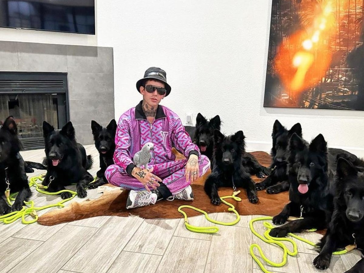 Dog Daddy Net Worth (Updated 2026). Dog Daddy Net Worth (Updated 2026).