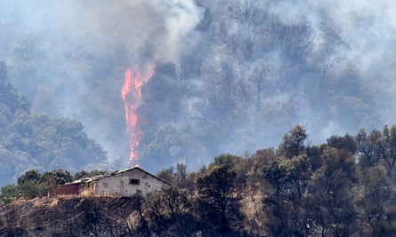 Heavy smoke and flames rising in the forested hills of the Kabyle region, on 11 August