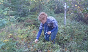 Alys Fowler forages for berries.