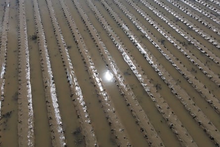 Planted crops are flooded by water from the Pajaro River on 15 March after days of heavy rain.