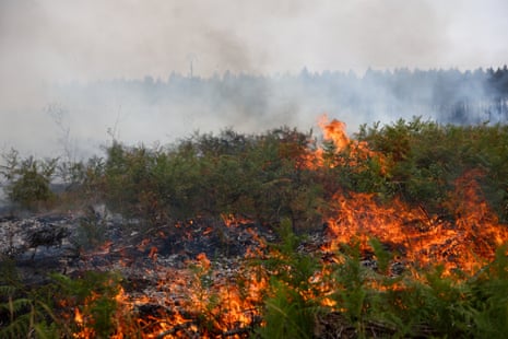A fire spread across a forested area.
