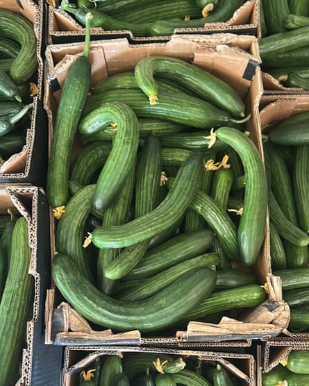 Curvy cucumbers
