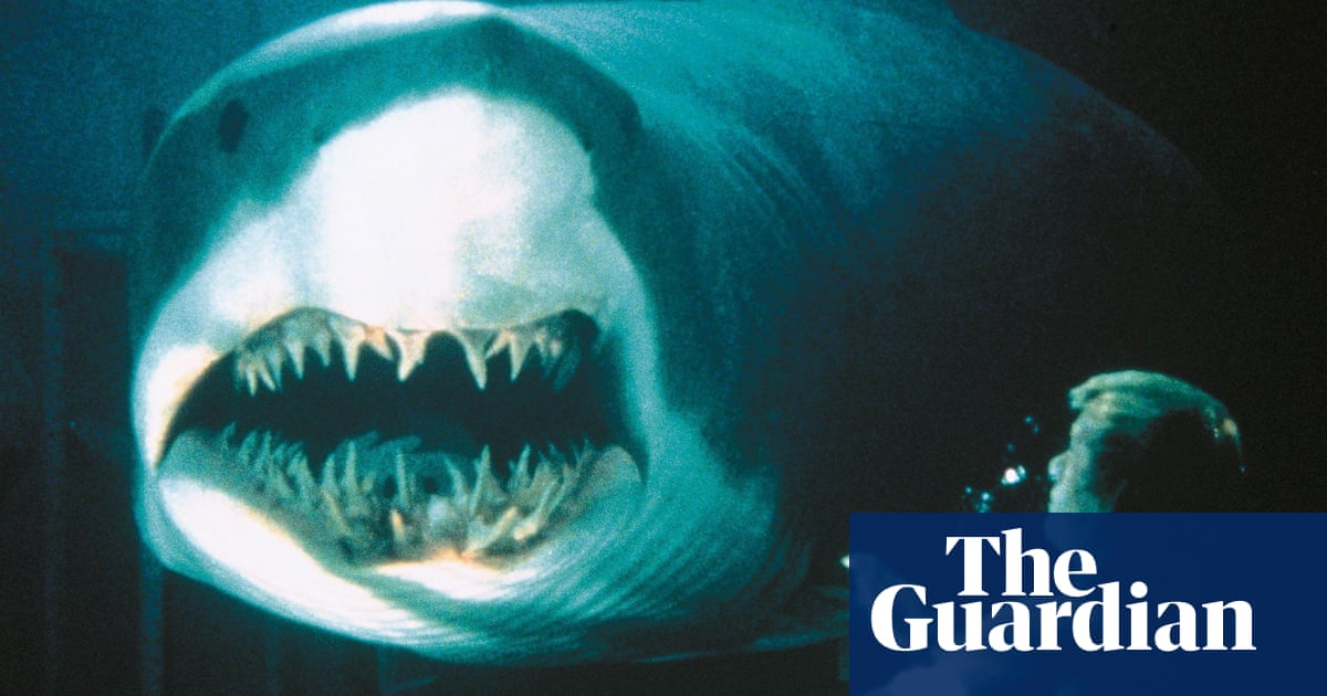 Samuel L Jackson sobre el thriller de tiburones Deep Blue Sea: ‘He tenido muchas muertes, pero todos recuerdan esta’ | Cine Samuel L Jackson sobre el thriller de tiburones Deep Blue Sea: ‘He tenido muchas muertes, pero todos recuerdan esta’ | Cine