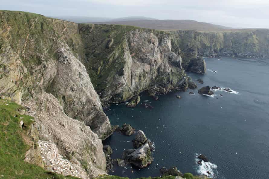 The dramtic coastline on the island of Unst, Shetland.