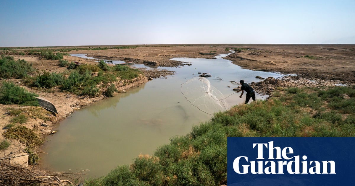 It used to be like heaven: the Iraq wetlands decimated by the climate crisis  in pictures