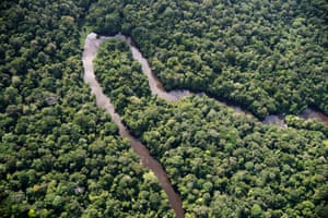 The western branch of the Rio Uaa meanders through rainforest land west of Parque Nacional do Cabo Orange in Brazil