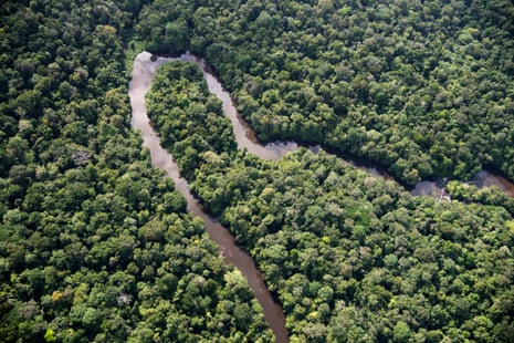 Wildlife is likely to disappear on a catastrophic scale in the Amazon if temperatures rise by more than 1.5C, the report warns. 