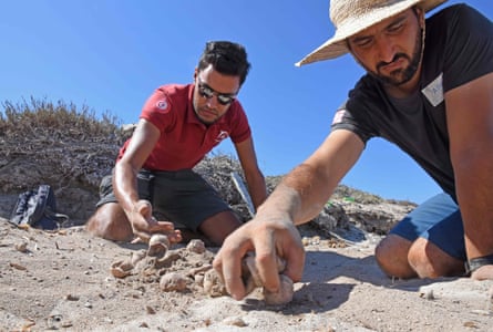 Conservation workers inspect a turtle nest