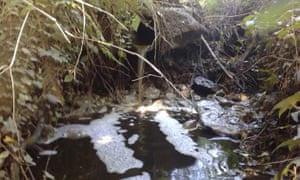 Dairy farm pollution along the River Culm, that flows through the Blackdown Hills in Devon, September 2015.