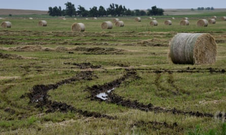 Hay rolls damaged by flood waters lie soaked on a farm in Alva, Oklahoma, next to flooded tracks left by farm vehicles.