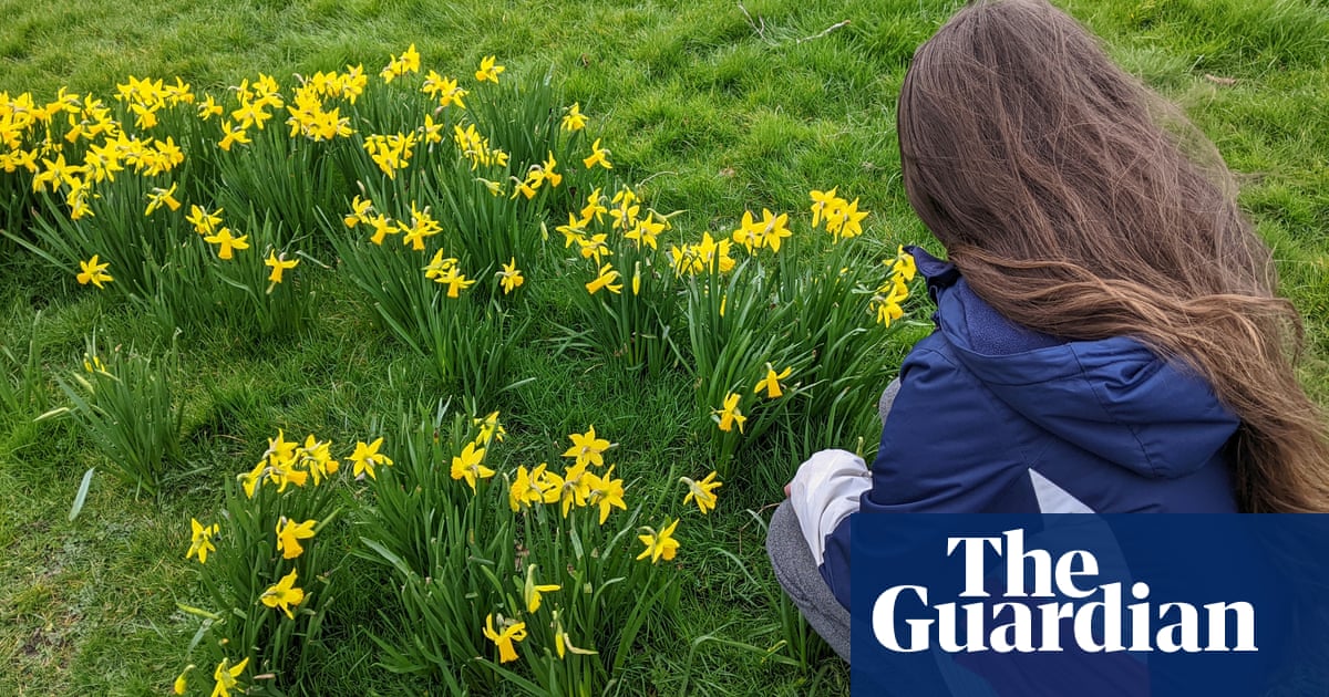 Young country diary: An ode to the arrival of spring
