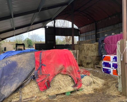 Low hay stocks in the barn, which are protected from the elements to a degree.