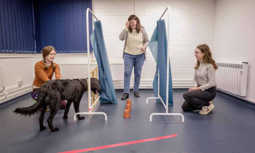 Nicola Davis with her puppy Calisto at the University of Portsmouth, with Dr Juliane Kaminski and research student Amy West