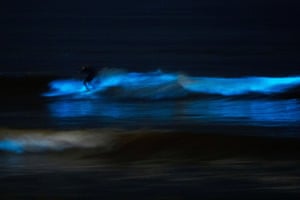A surfer rides a blue wave, illuminated by the light of bioluminescent organisms, at La Jolla Shores beach