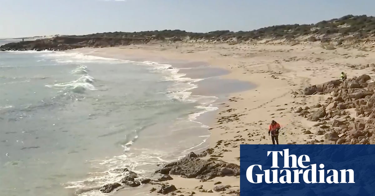 Wetsuit material found in search for South Australian surfer feared dead in shark attack