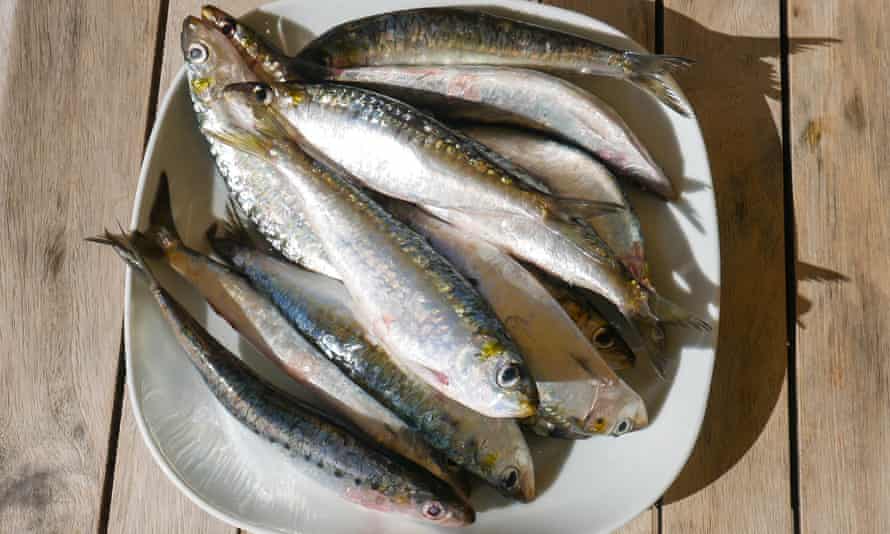 Sardines abound in the surrounding sea.